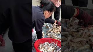 Cambodian Food Market in the Morning #fishmarket #streetfood #fish