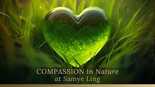 Compassion in Nature - With Fay Adams