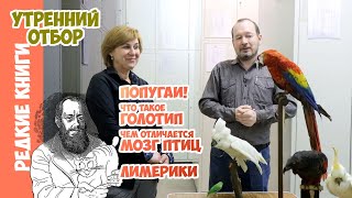 Эдвард Лир: талант к рисованию. А также попугаи, голотип, мозг птиц и лимерики. Варвара Миронова