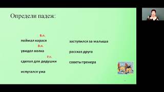 Русский язык 4 класс Правописание окончаний имен существительных в именительном, родительном, вините