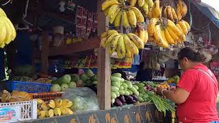 Walking Tour Puerto Galera Town