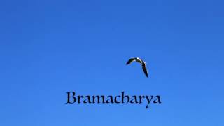 Bramacharya (Non-excess): The Fourth Yama