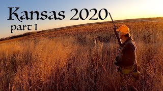 Kansas Quail 2020 part 1