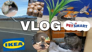 Ikea and PetSmart vlog! // a day in my life