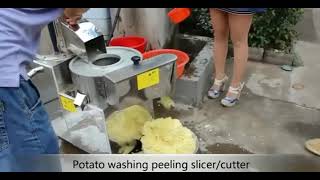 potato washing peeling slicing cutting machine