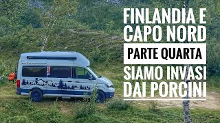 Finlandia e Capo Nord parte quarta - siamo invasi dai porcini #finlandia #porcini