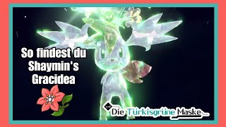 So findest du die Gracidea um Shaymin's Form zu ändern/Pokemon Karmesin&Purpur DLC Türkisgrüne Maske