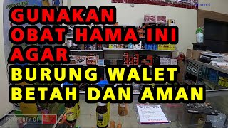 JENIS JENIS OBAT HAMA INI WAJIB DIMILIKI AGAR BURUNG WALET BETAH