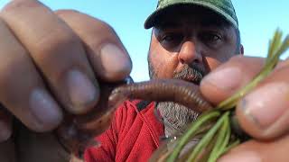 Awesome Jig Fishing Tip and Footage of it working