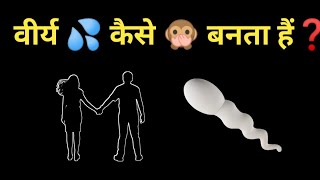 वीर्य कैसे बनता हैं? या शुक्राणु का उत्पादन कैसे होता है? how sperm is produced