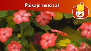 Paisaje musical: Orquídeas - Dunas, para niños - Non