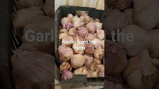 garlic from the farm #viralvideo