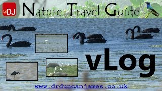 Penguins and Other Coastal Wildlife of South East New Zealand | vLog #36 | Nature Travel Guide