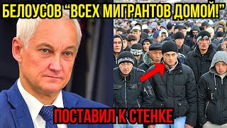 БЕСПРЕДЕЛ МИГРАНТОВ, Белоусов хочет видеть вас в родном кишлаке