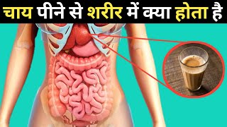 चाय पीने से शरीर मे क्या होता है  | What happens when you drink tea