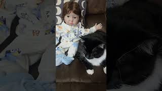 Reborn baby and cat #cat #cats #tuxedocat #reborn #rebornbaby #reborndoll #paradisegalleries