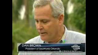 Killer Whale Kills SeaWorld Trainer Dan Brown - YouTube (2)2.flv