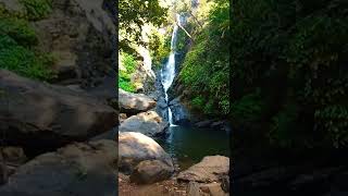 Savri Waterfalls | Netravali | Goa Trip | Goa Diaries #shorts #youtubeshorts #goa