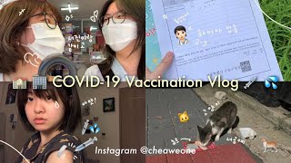 고3 코로나 백신 브이로그 💉 | 화이자 1차 2차 접종 후기 🤒 | 학교 길냥이 츄르 주기 🐱 | 서공예 무대미술과 여름방학 일상 VLOG | 채원 CHELOG