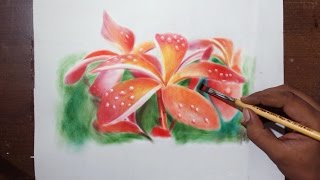 Drawing Plumeria flowers -- Oil painting dry brush with prismacolor colored pencils.