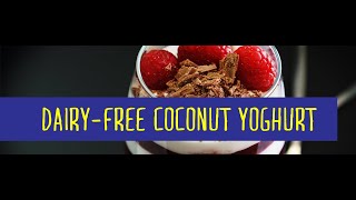 Making dairy free, probiotic Coconut Yoghurt