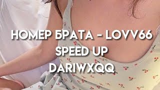 LOVV66 - номер брата(speed up)