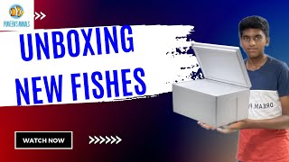 Umboxing New fishes for my marine aquariums/@PRAVEEIN’S ANIMALS/#aquarium #marine #reef | ep 50