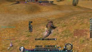 Aion Classic Assassin PVP