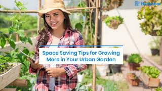 Starting an Urban Garden: Los Angeles Urban Farming