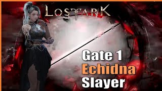 Help Me Step-Pirate, I'm Stuck! Echidna Gate 1 (Punisher Slayer) | Lost Ark