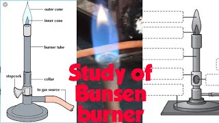 Study of Bunsen Burner #shorts #njoyscience #youtubeshorts #short #shortvideo