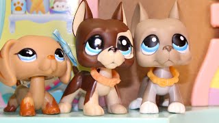 LPS: Last Lives (Season 2 - Episode 4) "He's Back"