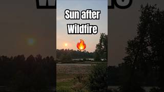 Why Does The Sun Appear Red After A Wildire Has Taken Place? #music #nature #shorts