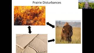 Managing for Diverse Prairie Habitats with Fire and Grazing