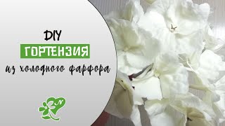 💥Самая изящная сборка Гортензии из холодного фарфора. Все так делают, посмотрев это видео👍