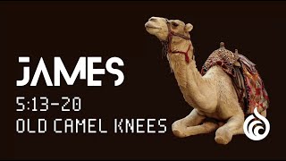 "Old Camel Knees"  Pastor Aaron Baxter - 11/10/2024 Sunday AM