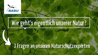 Wie geht es eigentlich unserer Natur?