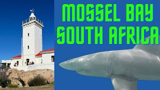 Mossel Bay and Shark Diving, - Ep. 13