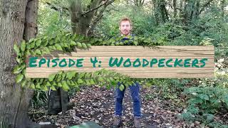 Reading Nature Episode 4: Woodpeckers