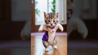 Cute cat dance 📸📸#youtubeshorts #cat #shortsviral #dance #shortsfeed #feedshorts