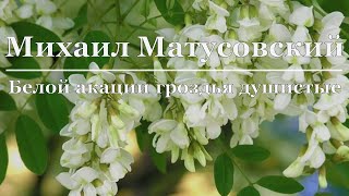 Михаил Матусовский - Белой акации гроздья душистые