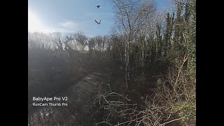 Cinematic FPV - Parc de la Chartreuse, Liège - Belgique - 17 - la Dalle des Hollandais