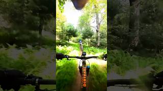 Lonberger DAWHNILL at Rothrock State Forest #mtb