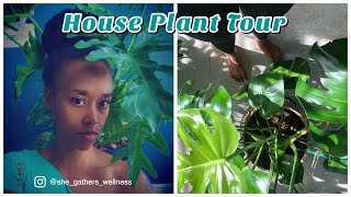 House Plant Tour | 30+ Plants | GatHouse Fitness [178]