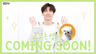 [Teaser #1] 갓세븐 영재와 코코의 컨텐츠 커밍순!! ✨GOT7's Youngjae is starting YouTube Content with his dog COCO!!