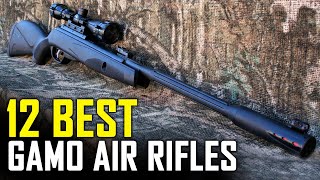 12 Best Gamo Air Rifles For Hunting 2021 - Top 12 Best Gamo Air Rifles