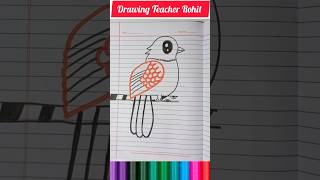 How to draw beautiful Bird 🐦 #shorts #drawing #howtodraw #beautiful #drawingbirds #easydraw