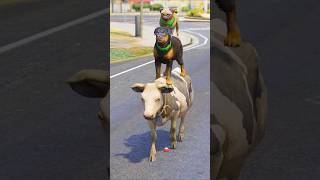 GTA V COW AND DOG FRIENDSHIP CHOP #shorts | Maheshwar Gamerz