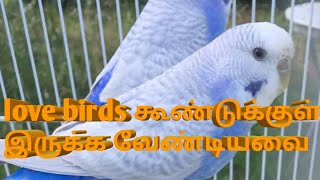 Love birds ( budiges) valarapathu yapdi/கூண்டுக்குள் இருக்க வேண்டியவை/ birds world doddampalayam