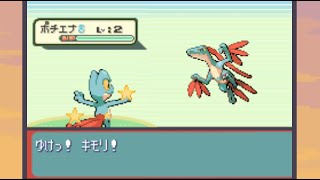 Live Shiny Treecko #2 after 7560 SRs!! (HSQ#6)